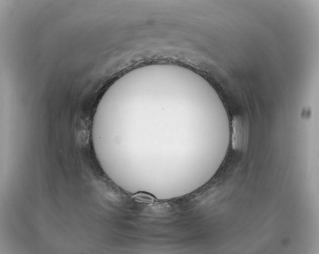 X0000090411491200707272038