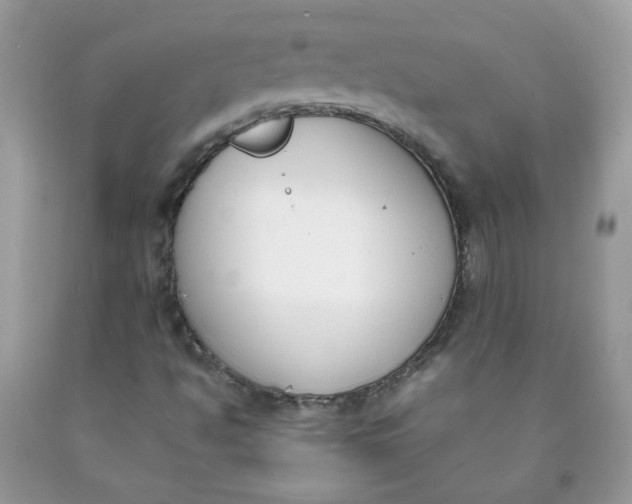 X0000090411494200707272038