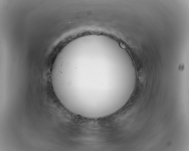 X0000090411495200707272038