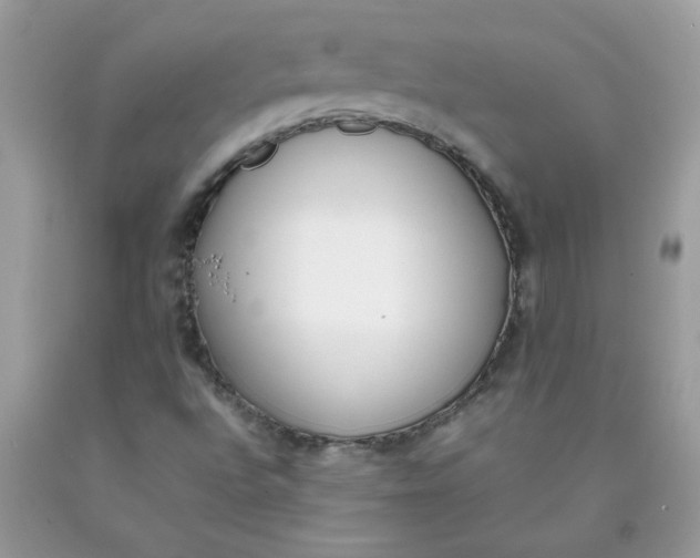 X0000090411496200707272038