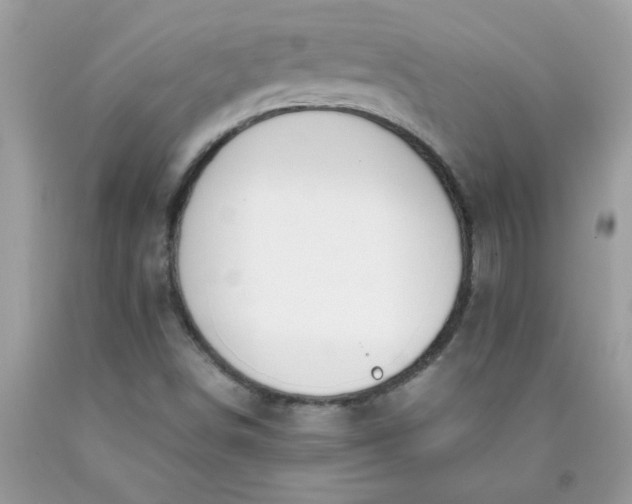 X0000090411498200707272038