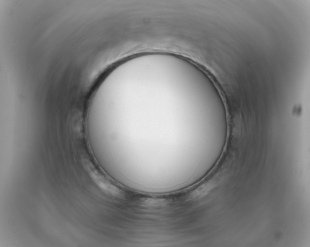 X0000090411499200707272038