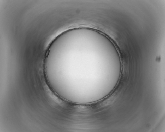 X0000090411500200707272038