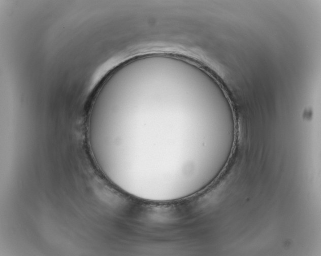 X0000090411501200707272038