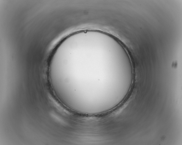 X0000090411502200707272038