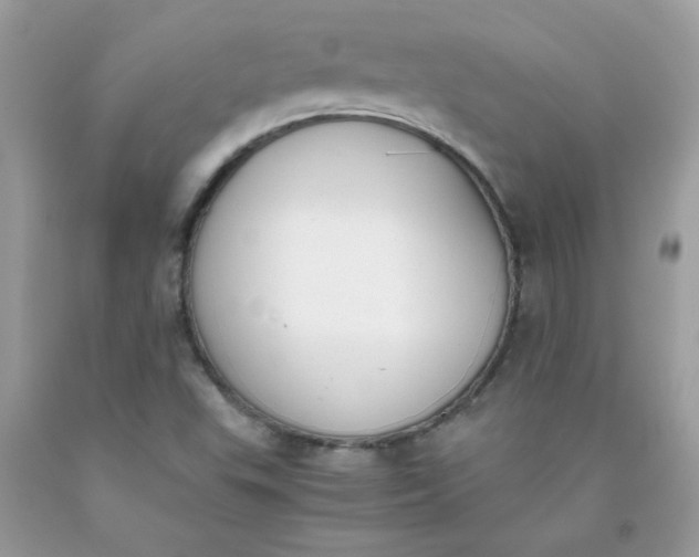 X0000090411503200707272038