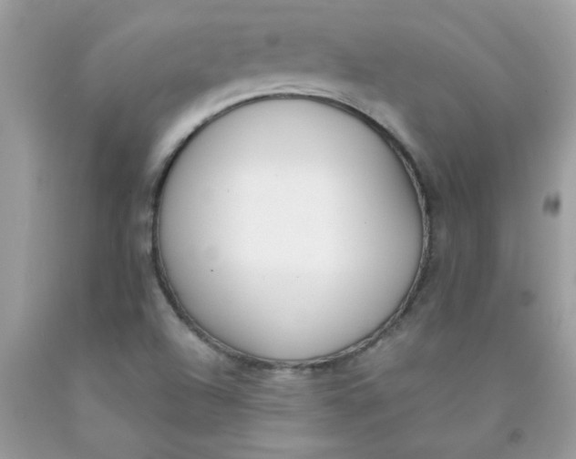 X0000090411504200707272038