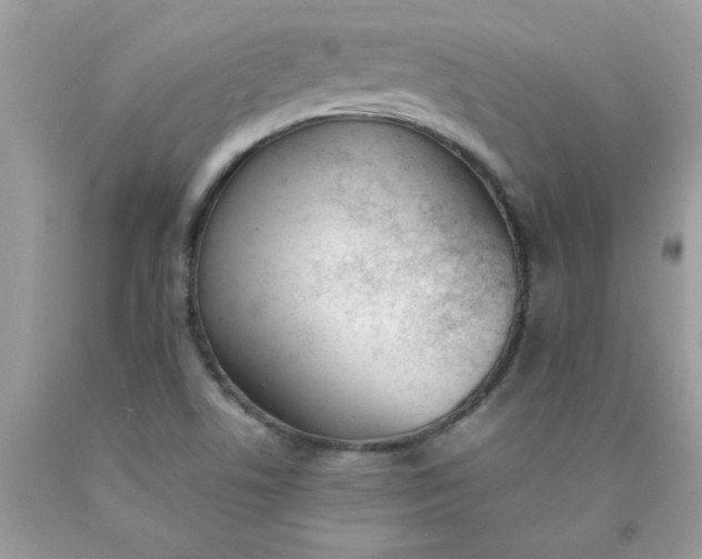 X0000090411506200707272038