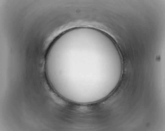 X0000090411507200707272038