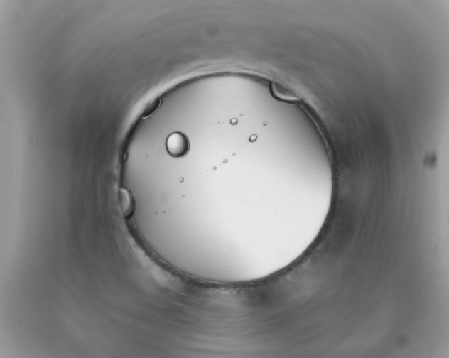 X0000090411508200707272038