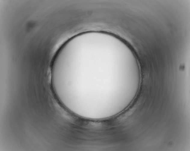X0000090411509200707272038