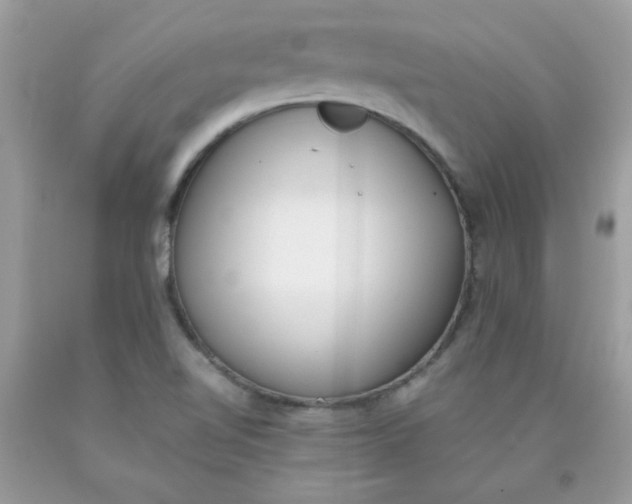 X0000090411510200707272038