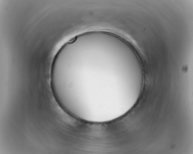 X0000090411512200707272038