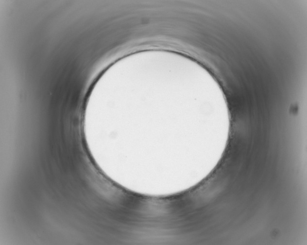 X0000090411514200707272038
