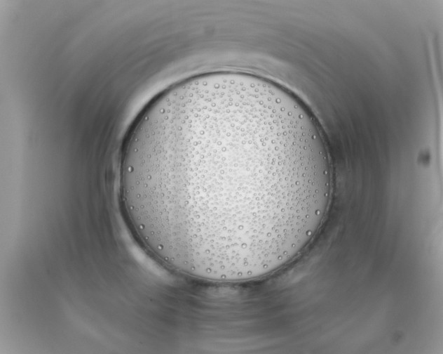X0000090411515200707272038