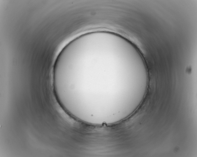 X0000090411516200707272038