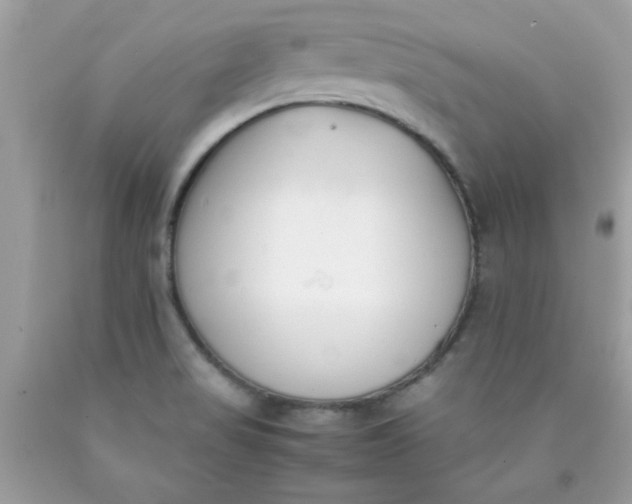 X0000090411517200707272038
