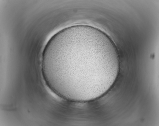 X0000090411519200707272038
