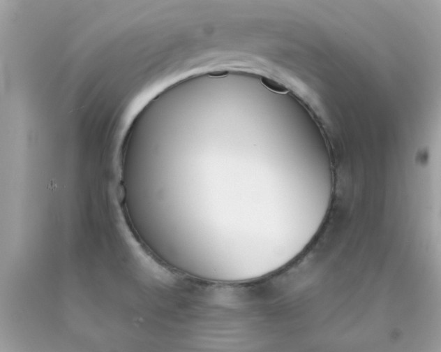 X0000090411520200707272038