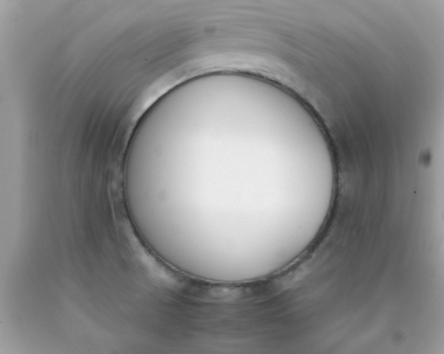 X0000090411521200707272038