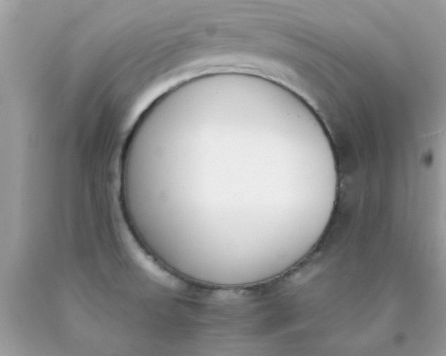 X0000090411523200707272038