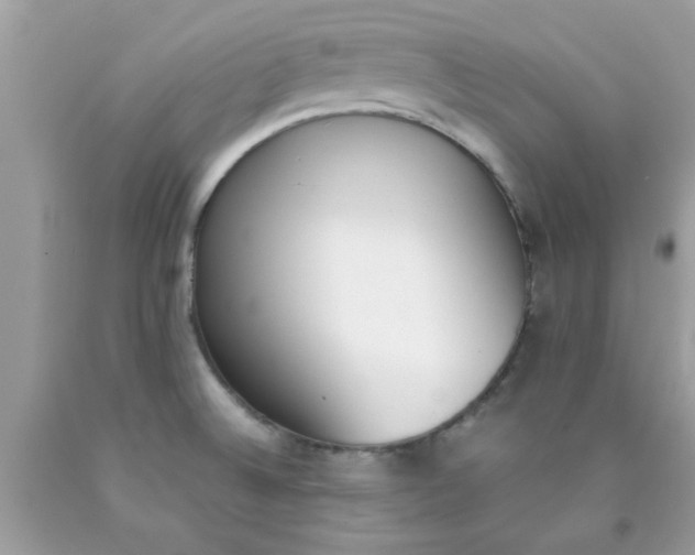 X0000090411524200707272038
