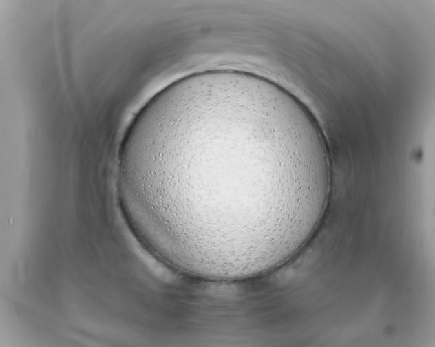X0000090411525200707272038
