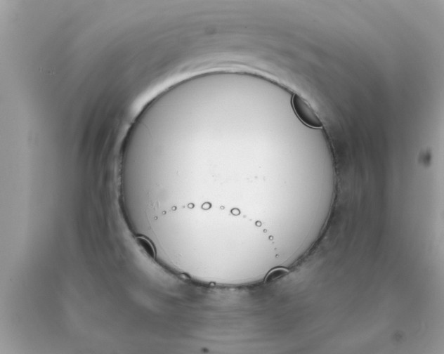 X0000090411526200707272038