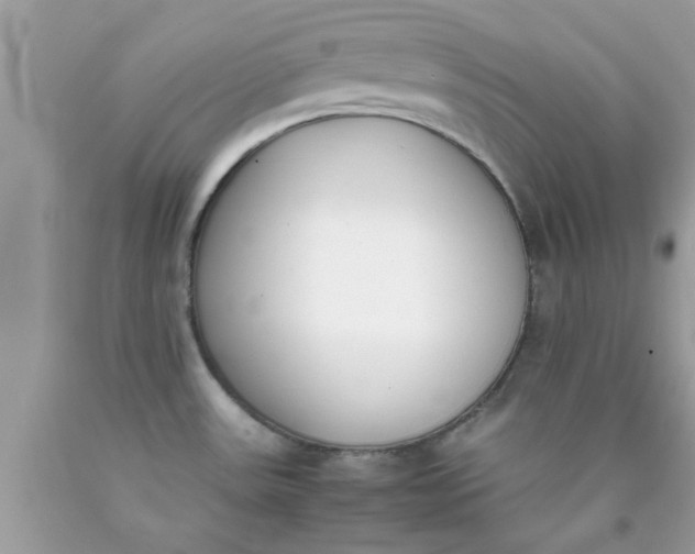 X0000090411531200707272038