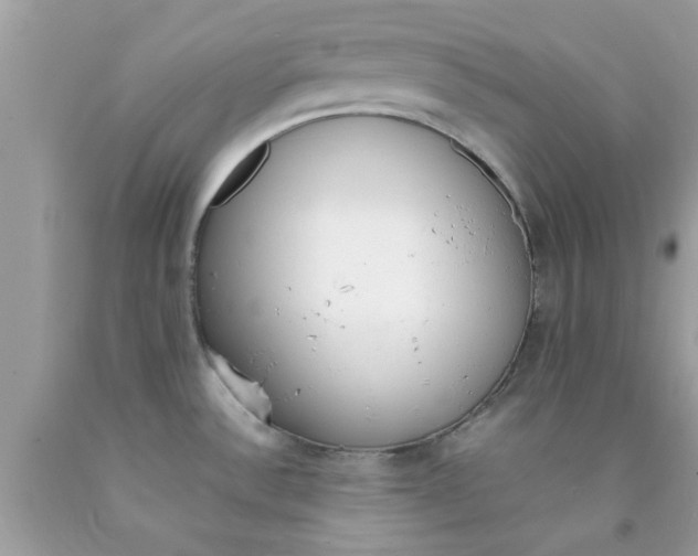 X0000090411532200707272038