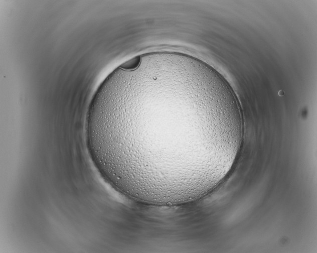 X0000090411533200707272038