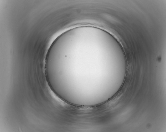 X0000090411535200707272038