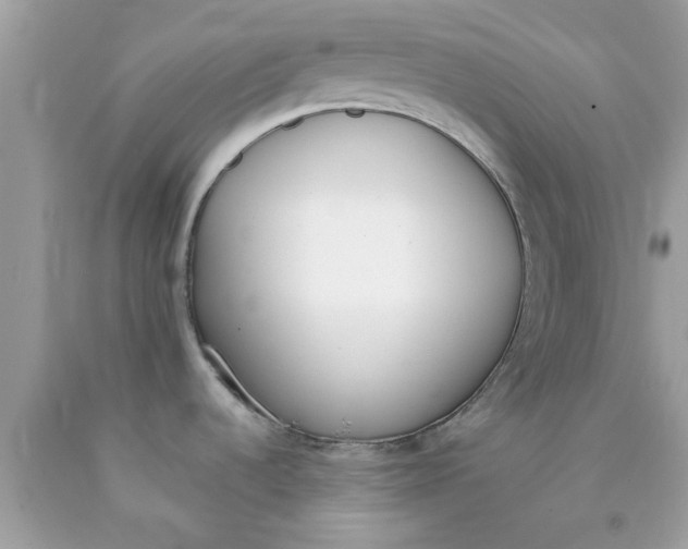 X0000090411536200707272038