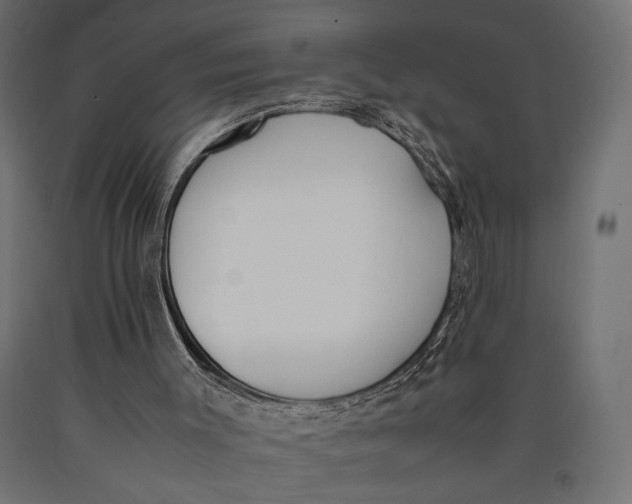 X0000090410003200708031053