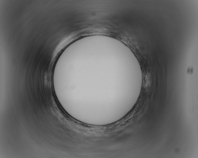X0000090410004200708031053