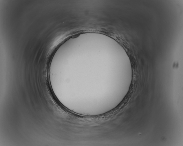 X0000090410005200708031053