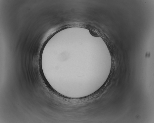 X0000090410006200708031053