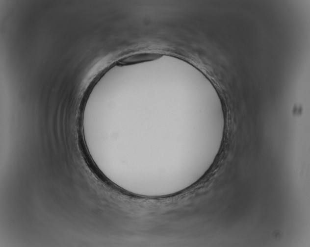 X0000090410007200708031053