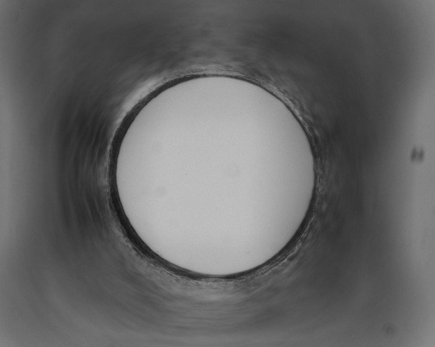 X0000090410008200708031053
