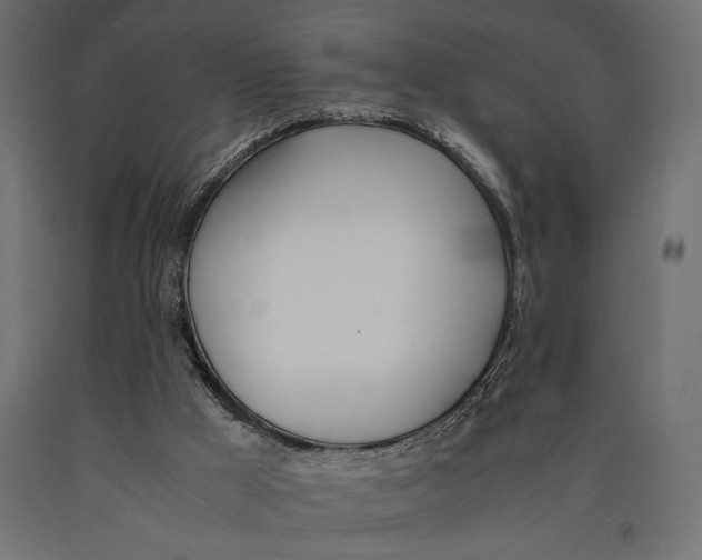 X0000090410009200708031053