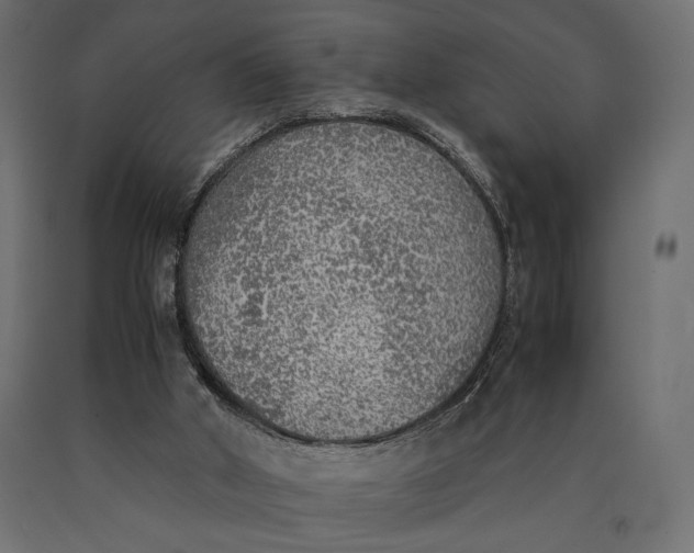 X0000090410010200708031053