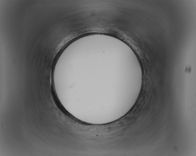 X0000090410011200708031053