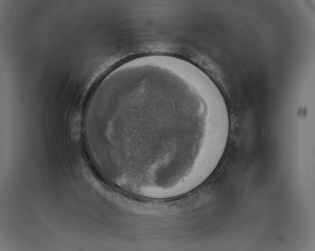 X0000090410012200708031053