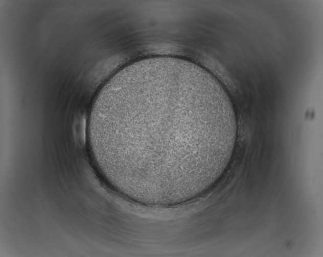 X0000090410014200708031053