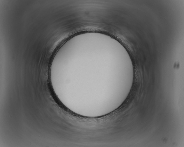 X0000090410015200708031053