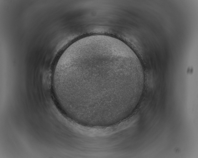 X0000090410016200708031053