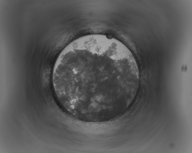 X0000090410018200708031053