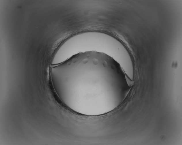 X0000090410019200708031053
