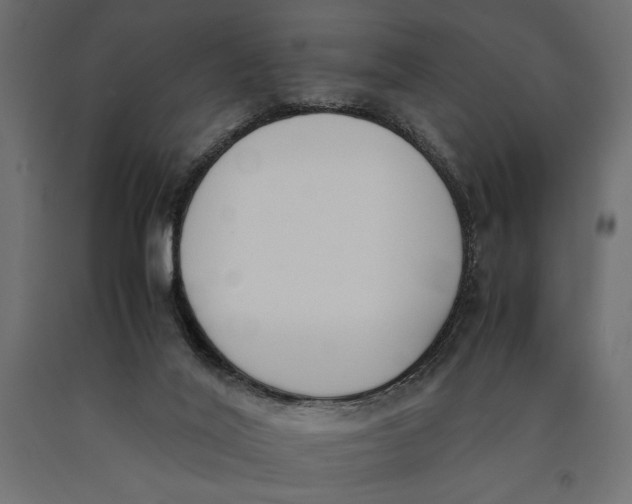 X0000090410020200708031053