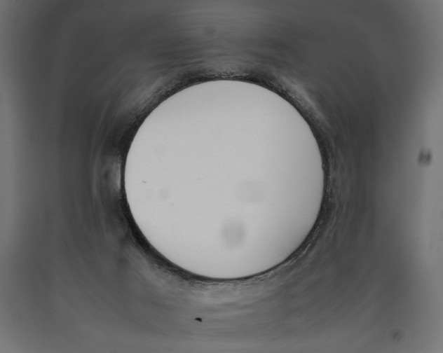 X0000090410021200708031053